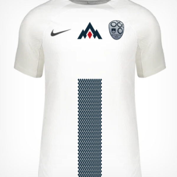 DOMAČI DRES SLOVENIJA 2024