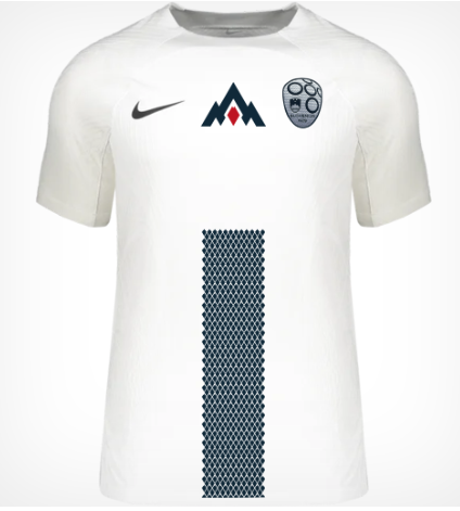 DOMAČI DRES SLOVENIJA 2024